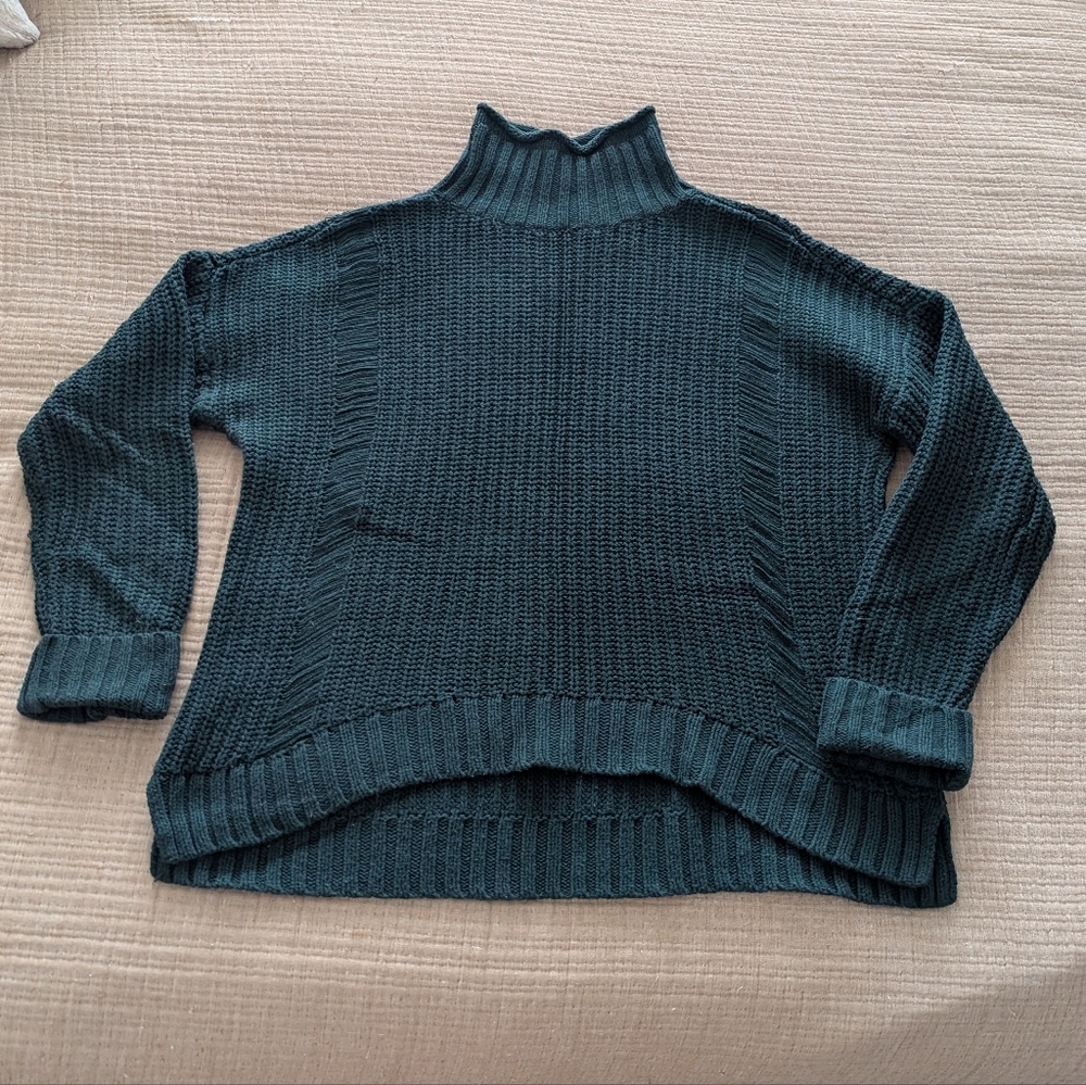 Express Dark Green Turtleneck Sweater